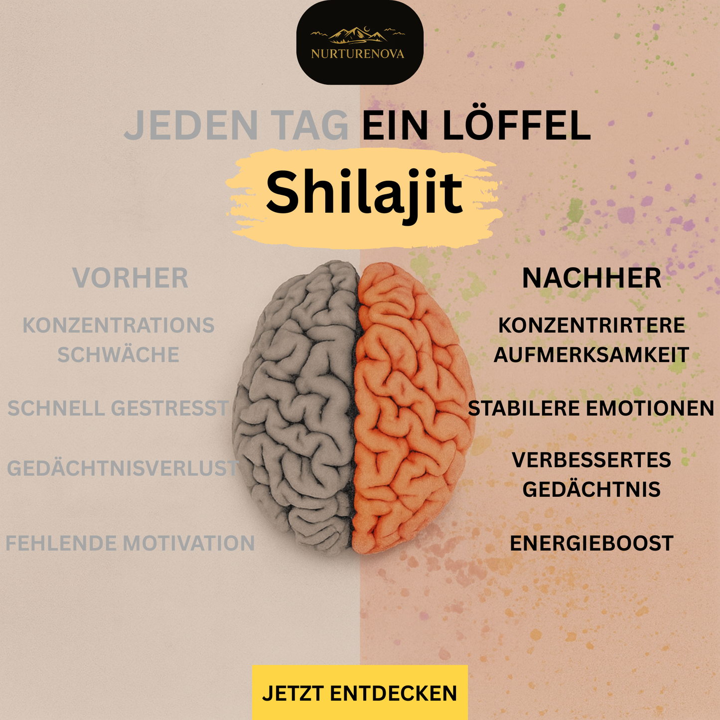 100% Shilajit-Harz