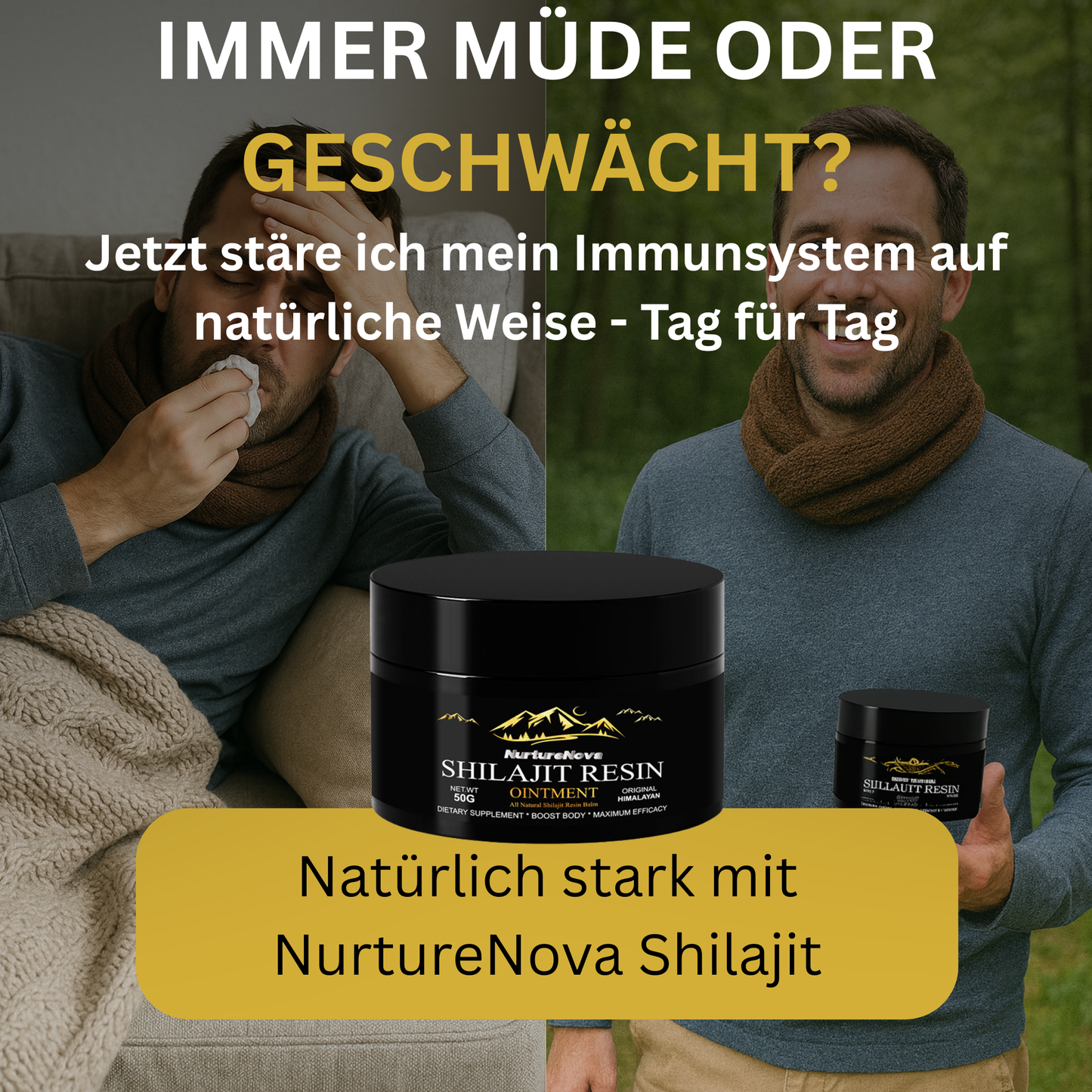 100% Shilajit-Harz